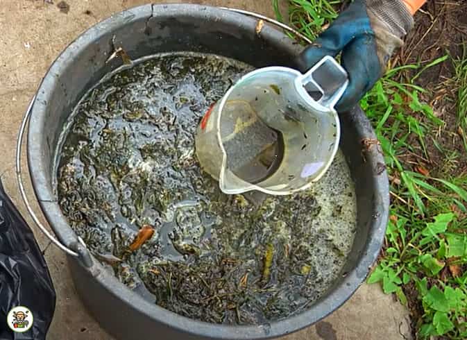 تصویر 3 از کود مرغی ژله‌ ای با آزاد سازی کنترل شده